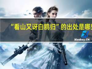 “看山又讶白鸥归”的出处是哪里