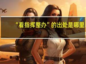 “看指挥整办”的出处是哪里