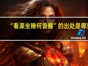 “看渠坐睡何曾醒”的出处是哪里