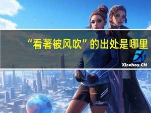 “看著被风吹”的出处是哪里