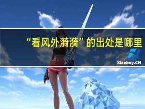 “看风外漪漪”的出处是哪里