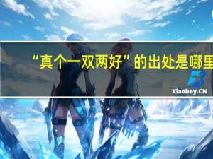 “真个一双两好”的出处是哪里