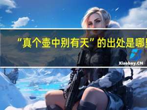 “真个壶中别有天”的出处是哪里