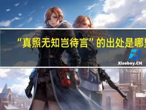 “真照无知岂待言”的出处是哪里