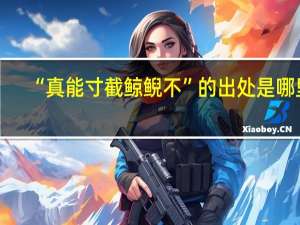 “真能寸截鲸鲵不”的出处是哪里