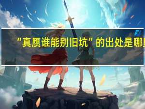 “真赝谁能别旧坑”的出处是哪里