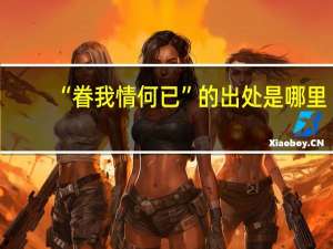 “眷我情何已”的出处是哪里