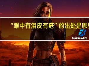 “眼中有泪皮有疮”的出处是哪里
