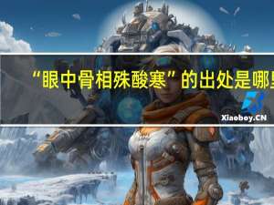 “眼中骨相殊酸寒”的出处是哪里