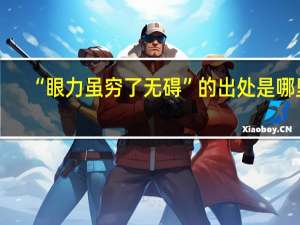 “眼力虽穷了无碍”的出处是哪里