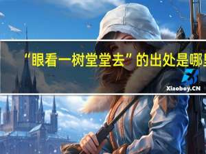 “眼看一树堂堂去”的出处是哪里