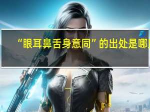 “眼耳鼻舌身意同”的出处是哪里