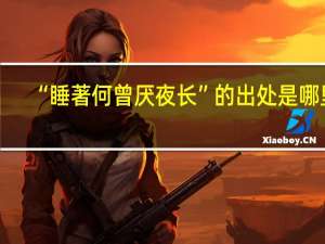 “睡著何曾厌夜长”的出处是哪里