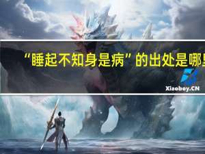 “睡起不知身是病”的出处是哪里
