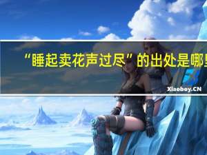 “睡起卖花声过尽”的出处是哪里