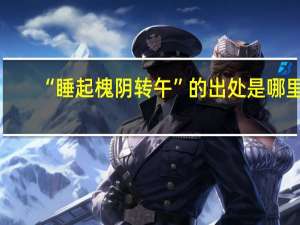 “睡起槐阴转午”的出处是哪里