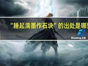 “睡起濡墨作石块”的出处是哪里