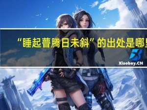 “睡起瞢腾日未斜”的出处是哪里