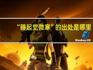 “睡起觉微寒”的出处是哪里