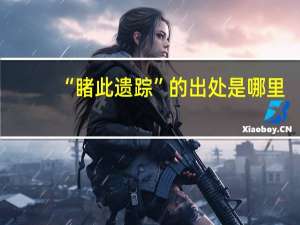 “睹此遗踪”的出处是哪里