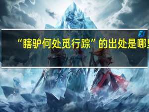 “瞎驴何处觅行踪”的出处是哪里