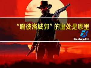 “瞻彼洛城郭”的出处是哪里