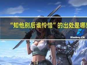 “知他别后谁怜惜”的出处是哪里