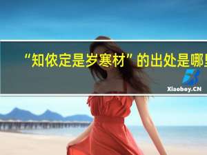 “知侬定是岁寒材”的出处是哪里