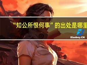 “知公所恨何事”的出处是哪里