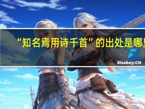“知名焉用诗千首”的出处是哪里