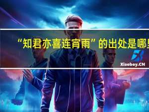 “知君亦喜连宵雨”的出处是哪里