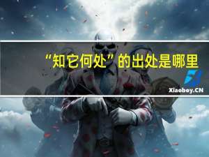 “知它何处”的出处是哪里