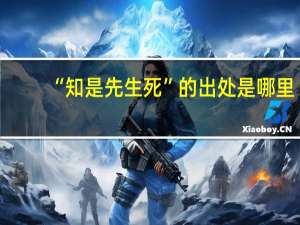 “知是先生死”的出处是哪里