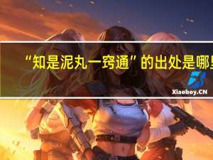 “知是泥丸一窍通”的出处是哪里