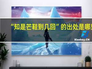 “知是芒鞋到几回”的出处是哪里