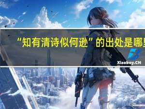 “知有清诗似何逊”的出处是哪里