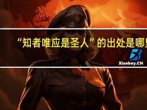 “知者唯应是圣人”的出处是哪里
