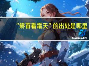 “矫首看霜天”的出处是哪里
