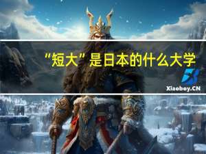 “短大”是日本的什么大学