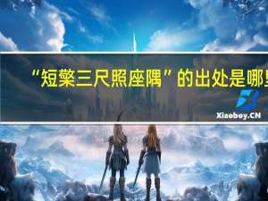 “短檠三尺照座隅”的出处是哪里