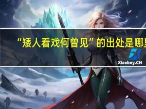 “矮人看戏何曾见”的出处是哪里