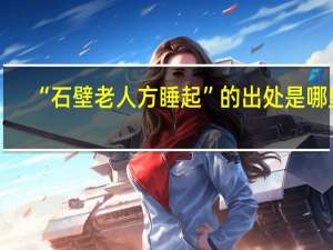 “石壁老人方睡起”的出处是哪里