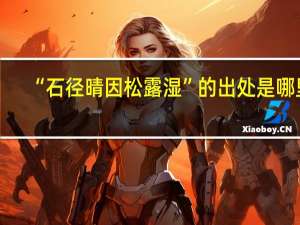 “石径晴因松露湿”的出处是哪里