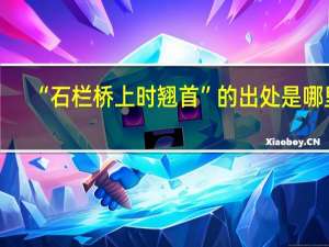 “石栏桥上时翘首”的出处是哪里