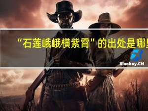 “石莲峨峨横紫霄”的出处是哪里