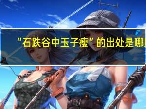 “石趺谷中玉子瘦”的出处是哪里