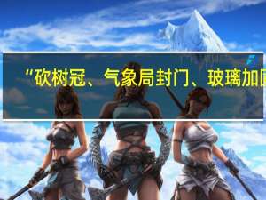 “砍树冠、气象局封门、玻璃加固”，海南人为了防台风有多努力