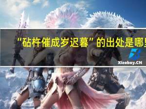 “砧杵催成岁迟暮”的出处是哪里