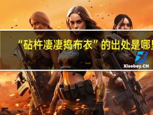 “砧杵凄凄捣布衣”的出处是哪里