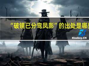 “破镜已分鸾凤影”的出处是哪里